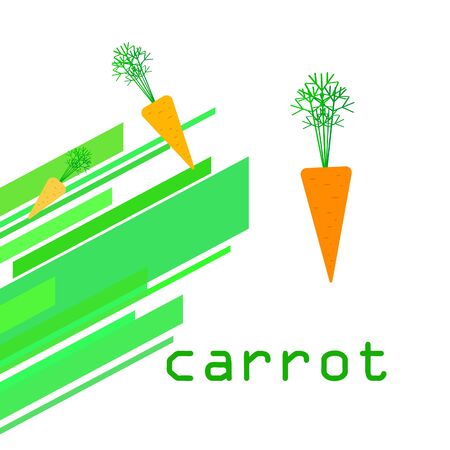 Carrot. Organic food poster. Farmer market design. Vector background.のイラスト素材