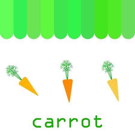 Carrot. Organic food poster. Farmer market design. Vector background.のイラスト素材