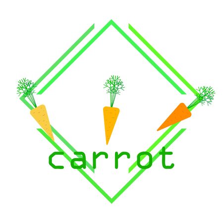 Carrot. Organic food poster. Farmer market design. Vector background.のイラスト素材
