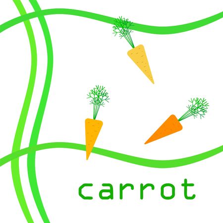 Carrot. Organic food poster. Farmer market design. Vector background.のイラスト素材