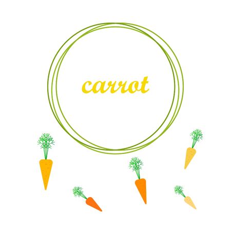 Carrot. Organic food poster. Farmer market design. Vector background.のイラスト素材