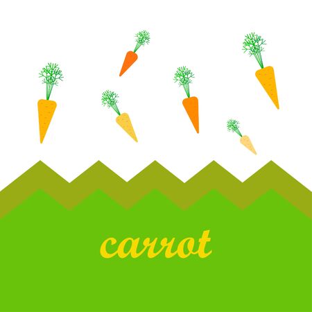 Carrot. Organic food poster. Farmer market design. Vector background.のイラスト素材