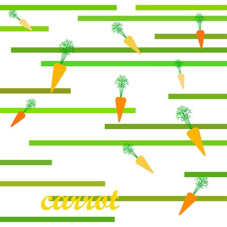 Carrot. Organic food poster. Farmer market design. Vector background.のイラスト素材