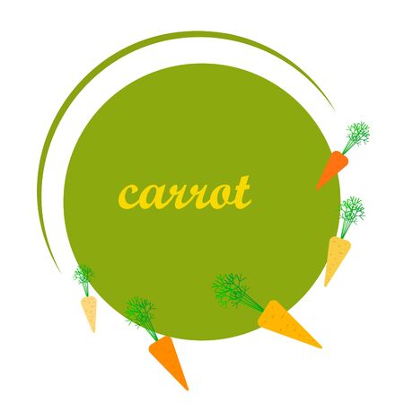 Carrot. Organic food poster. Farmer market design. Vector background.のイラスト素材