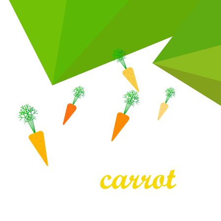 Carrot. Organic food poster. Farmer market design. Vector background.のイラスト素材