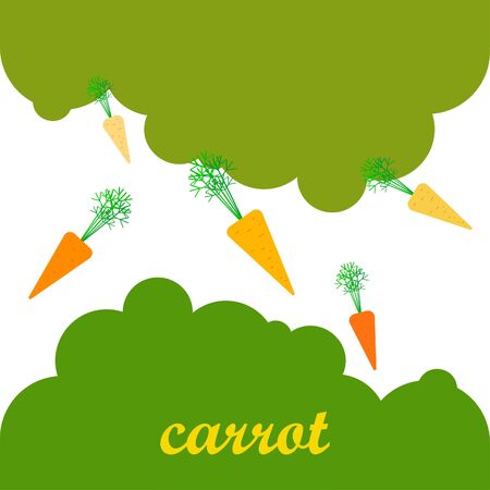 Carrot. Organic food poster. Farmer market design. Vector background.のイラスト素材
