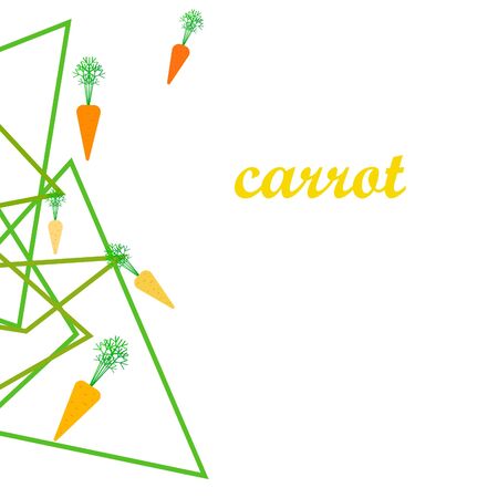 Carrot. Organic food poster. Farmer market design. Vector background.のイラスト素材