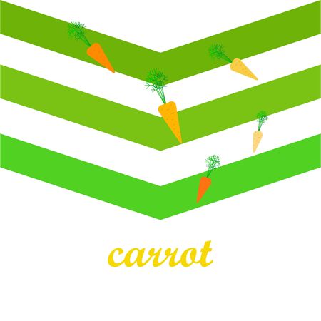 Carrot. Organic food poster. Farmer market design. Vector background.のイラスト素材