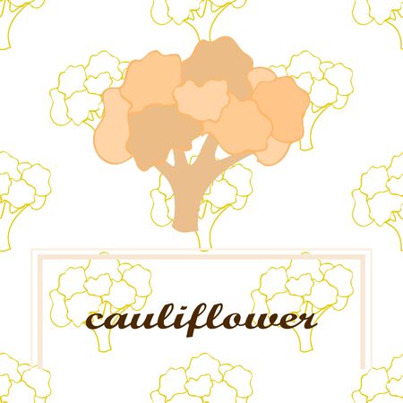 Cauliflower. Organic food poster. Farmer market design. Vector background.のイラスト素材