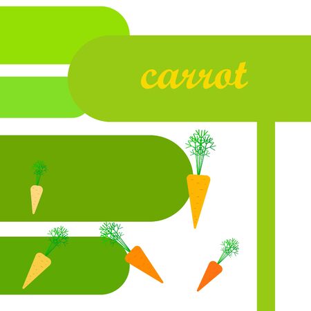 Carrot. Organic food poster. Farmer market design. Vector background.のイラスト素材