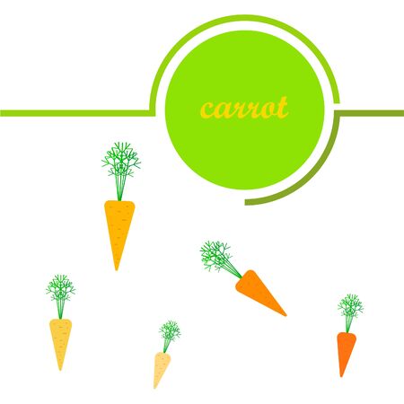 Carrot. Organic food poster. Farmer market design. Vector background.のイラスト素材