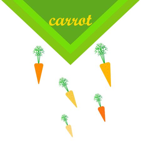 Carrot. Organic food poster. Farmer market design. Vector background.のイラスト素材
