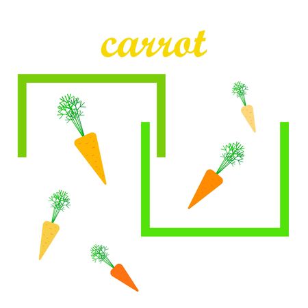 Carrot. Organic food poster. Farmer market design. Vector background.のイラスト素材