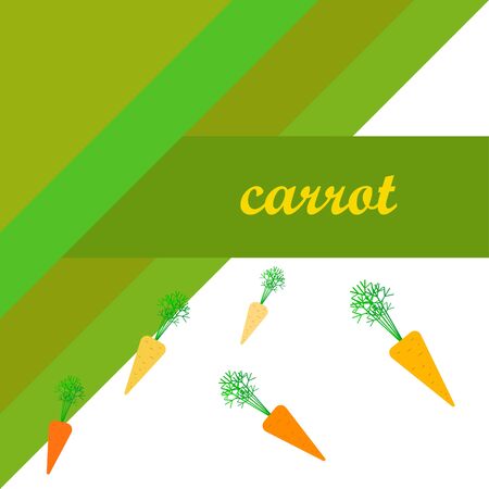 Carrot. Organic food poster. Farmer market design. Vector background.のイラスト素材