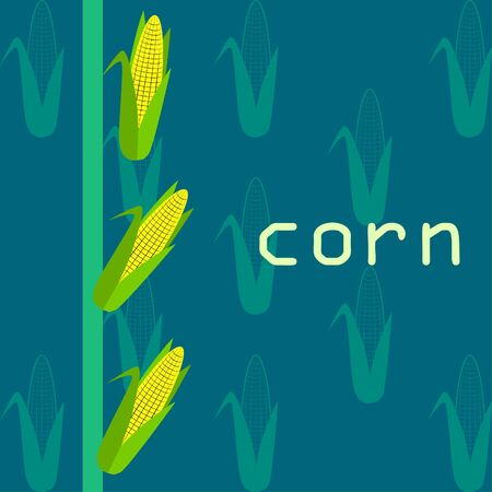 Corn. Organic food poster. Farmer market design. Vector background.のイラスト素材