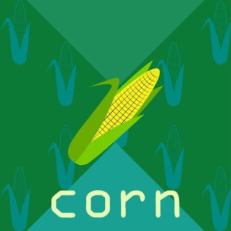 Corn. Organic food poster. Farmer market design. Vector background.のイラスト素材