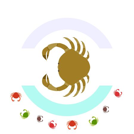 Crabs. Seafood. Vector illustration of a sea animal.のイラスト素材