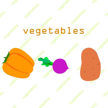 Fresh vegetables. Peppers, beets, potatoes. Organic food poster. Farmers market design. Vector.のイラスト素材