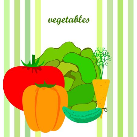 Cabbage, tomato, carrot, pepper, cucumber, fresh vegetables. Organic food poster. Farmer market design. Vector background.のイラスト素材