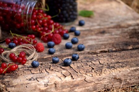 blueberries and raspberries in banks crumbled in the forestの写真素材