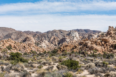 Wonderland of Rocks along Willow Hole Trail in Joshua Tree National Park, Californiaの写真素材