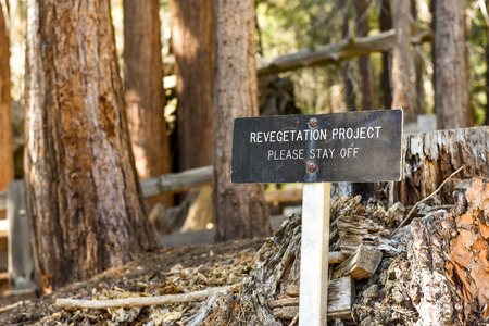 Revegetation Project sign in Sequoia National Park, Californiaの写真素材