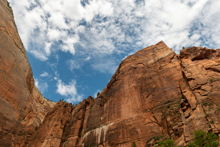 Cliffs in Zion National Park, Utahの写真素材