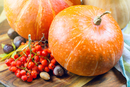 Colorful pumpkin on a wooden table with rowan berries and chestnuts. Concept of fall time, selective focus.の写真素材