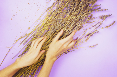 Girl's hands on a dried lavender Bouquet. Floral arranging concept. Flat layの写真素材