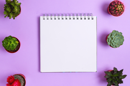 Flatlay with notebook and various succulents on purple backgroundの写真素材