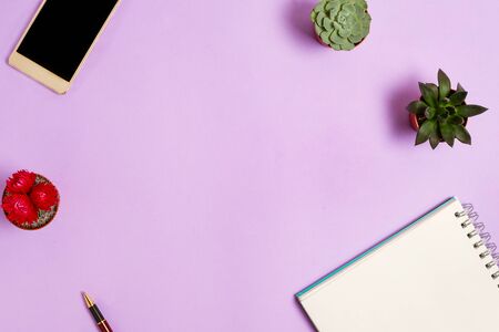 Flatlay with notebook, pen, mobile phone and succulents , copyspace, business or study conceptの写真素材