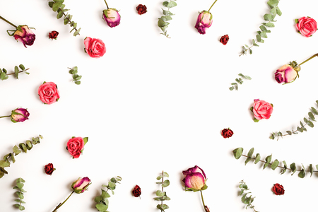 Beautiful background with dry eucalyptus and flowers, white background, copyspace.の写真素材