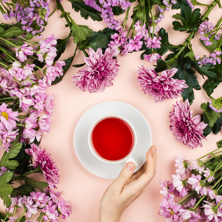 Flatlay with beautiful chrysanthemum flowers and woman's hand holding a cup of hibiscus tea. Squareの写真素材