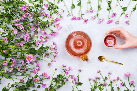 Glass kettle and women's hand holding teacup surrounded by pink daisies, cement backgroundの写真素材