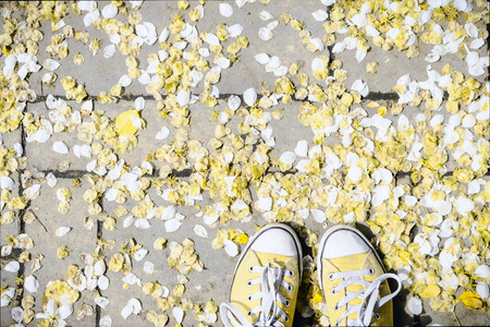 Flatlay of a women's feet in sneakers on a tile covered with white and yellow flower petals, travel conceptの写真素材