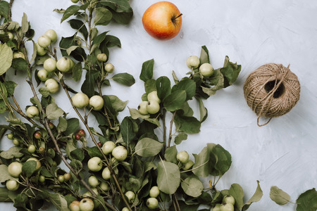 Warm autumn flatlay with apple branches, fruits and twine on grey cement backgroundの写真素材