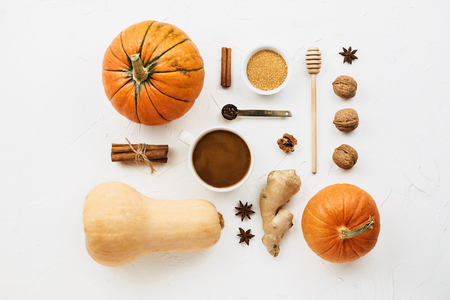 Flat lay with various pumpkins, cinnamon stick and cup of coffee with plant-based milk knolled together on white cement backgroundの写真素材