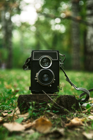 Vintage two-lens camera in the wood, selective focusの写真素材