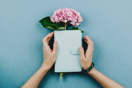 Flatlay of pink hortensia flower in blue notebook or planner in woman's hands on pastel backgroundの写真素材