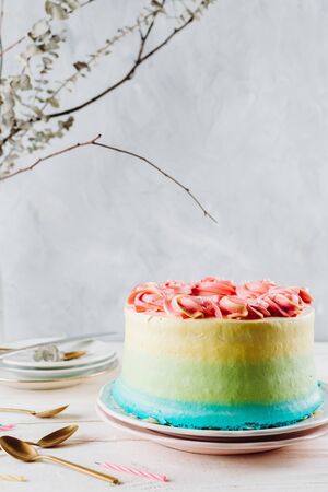 Closeup of colorful vegan cake, selective focusの写真素材