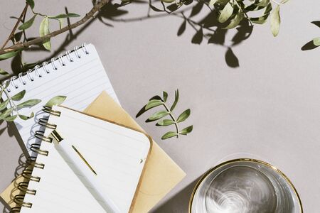 Minimalist flatlay with various notebooks, pen and pistachio branches on grey background with copyspaceの写真素材
