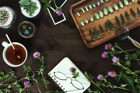 Flatlay of flowers, succulents and tea with notebook on wooden table, propagating, gardening and re-planting or slow living conceptの写真素材