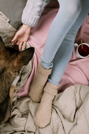 Cozy autumn or winter flatlay of woman petting her dog in bed, selective focusの写真素材
