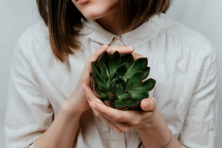 Closeup of woman's hands holding green succulent in her hands, selective focusの写真素材