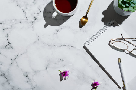 Flatlay of succulents, vintage film camera and notebook with pen on marbleの写真素材