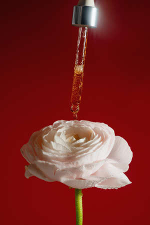 Liquid vitamin C serum drop from the pipette onto white flowerの写真素材