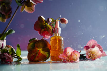 Natural organic vitamin C serum surrounded by flowers and water splashes on pastel violet background,の写真素材