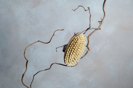 Wooden body brush with natural bristle on willow branches, natural sustainable anti cellulite tool.