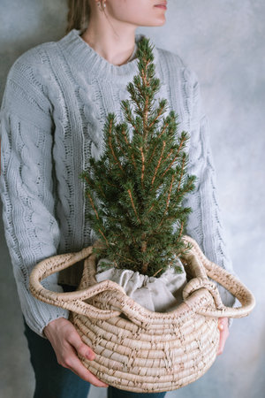 Young woman in sweater holding small Christmas fir tree in a basket in her hands, sustainable minimal celebration conceptの写真素材