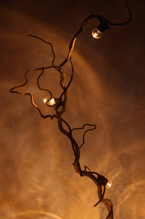 Christmas lights on a branch in front of the wallの写真素材